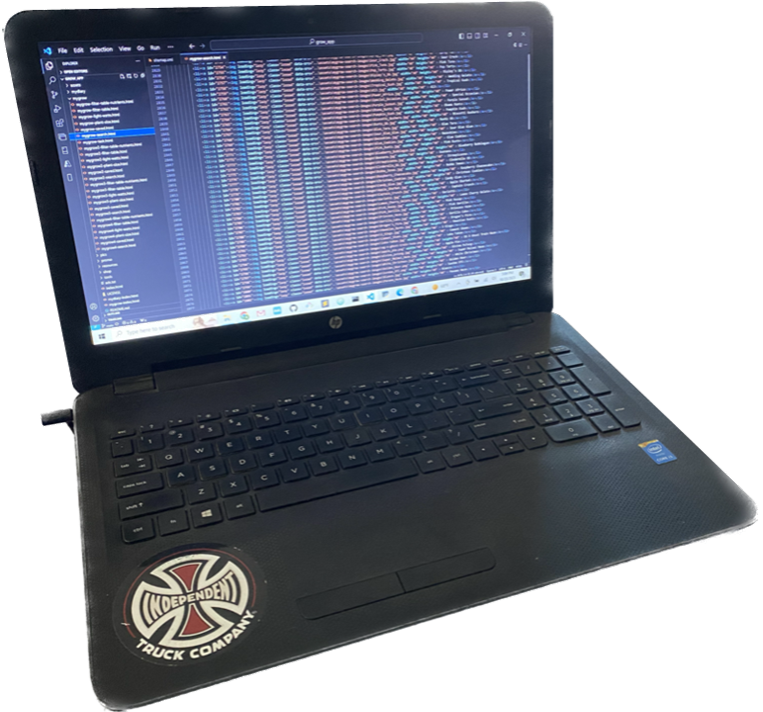 Developer