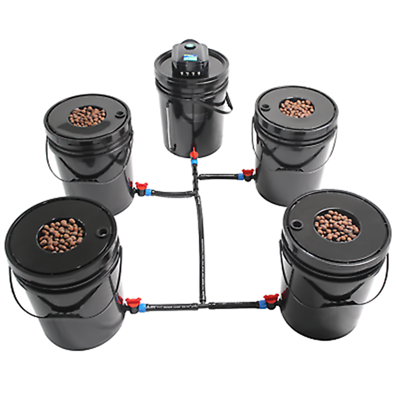 Beginner hydroponics setup for growing cannabis
