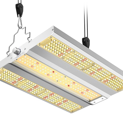 Best LED grow lights for indoor cannabis cultivation