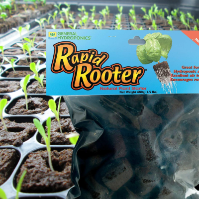 Rapid Rooters for starting cannabis seeds