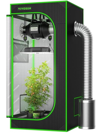 Cannabis buds in grow tent