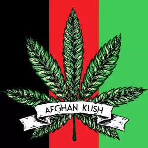 Afghan Kush cannabis strain