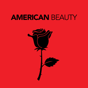 American Beauty cannabis strain