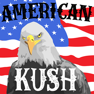 American Kush cannabis strain