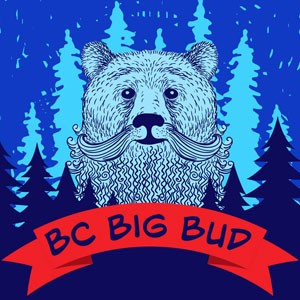 BC Big Bud cannabis strain