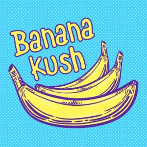 Banana Kush cannabis strain