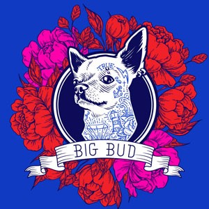 Big Bud cannabis strain