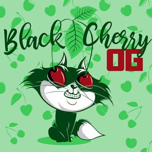 Black Cherry OG cannabis strain
