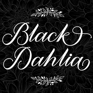 Black Dahlia cannabis strain