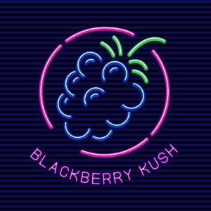 Blackberry Kush cannabis strain