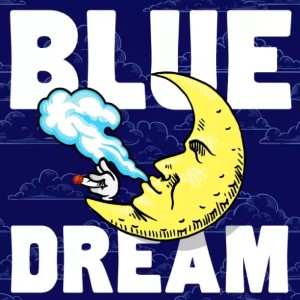 Blue Dream cannabis strain