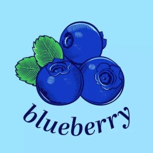 Blueberry cannabis strain