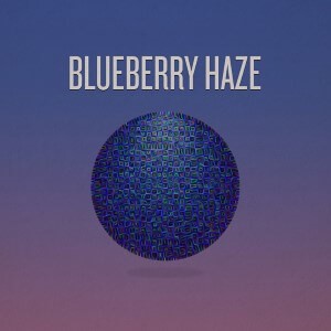 Blueberry Haze cannabis strain