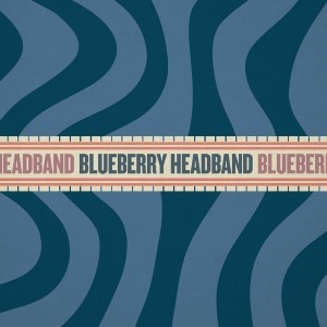 Blueberry Headband cannabis strain