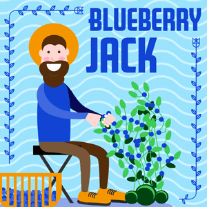 Blueberry Jack cannabis strain