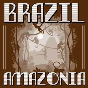 Brazil Amazonia cannabis strain