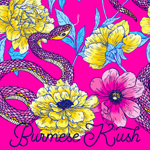 Burmese Kush cannabis strain