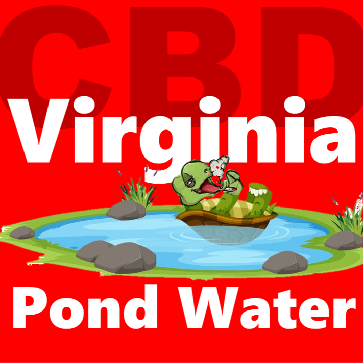 Virginia Pond Water cannabis strain