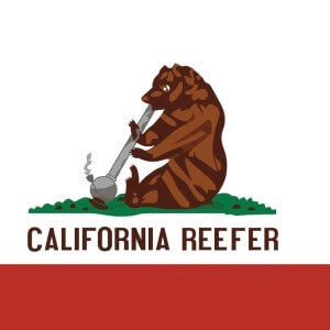 Cali Kush cannabis strain
