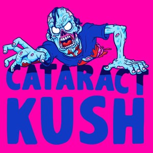 Cataract Kush cannabis strain