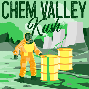 Chem Valley Kush cannabis strain