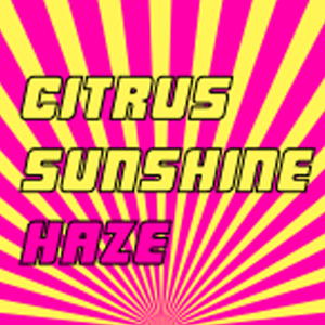 Citrus Sunshine Haze cannabis strain