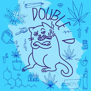 Double D cannabis strain