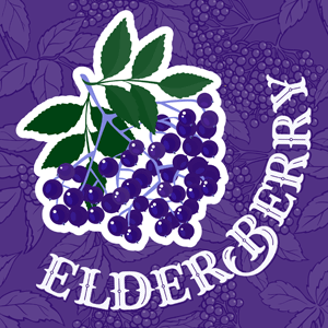 Elderberry cannabis strain