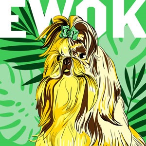 Ewok cannabis strain
