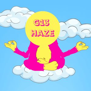 G13 Haze cannabis strain