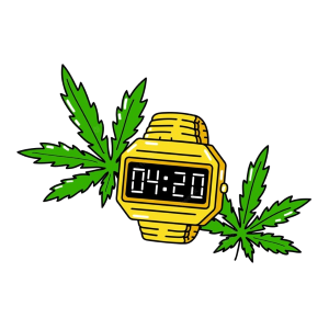 Golden Hour cannabis strain