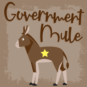 Government Mule cannabis strain