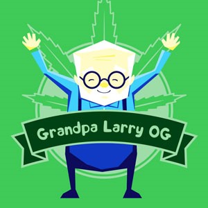 Grandpa Larry OG cannabis strain