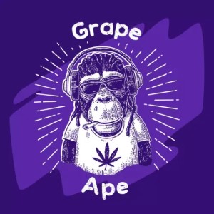 Grape Ape cannabis strain