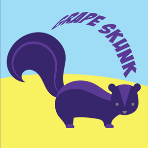 Grape Skunk cannabis strain