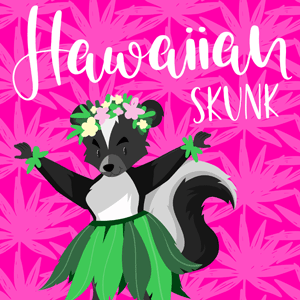 Hawaiian Skunk cannabis strain