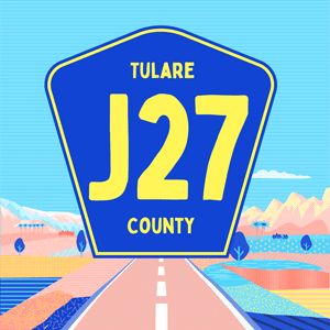 J-27 cannabis strain