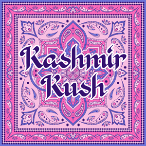 Kashmir Kush cannabis strain