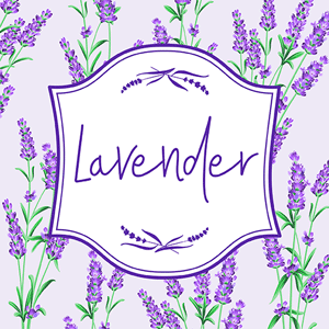 Lavender cannabis strain