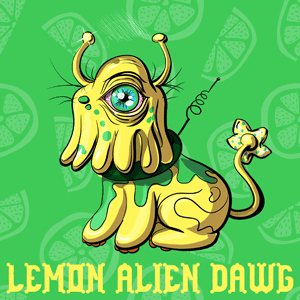 Lemon Alien Dawg cannabis strain