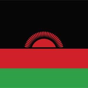 Malawi cannabis strain