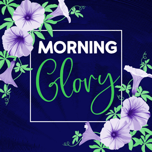 Morning Glory cannabis strain