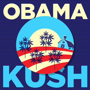 Obama Kush cannabis strain