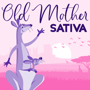 Old Mother Sativa cannabis strain