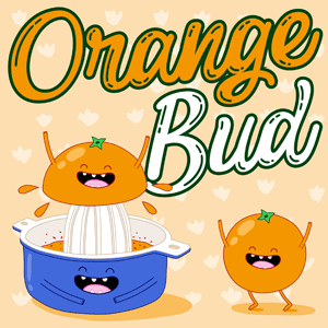 Orange Bud cannabis strain