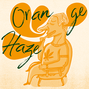 Orange Haze cannabis strain