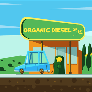 Organic Diesel cannabis strain
