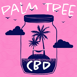 Palm Tree CBD cannabis strain