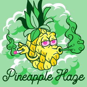 Pineapple Haze cannabis strain