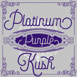 Platinum Purple Kush cannabis strain